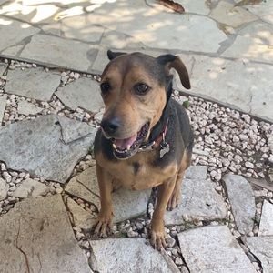 Meet your Posher, Jayson